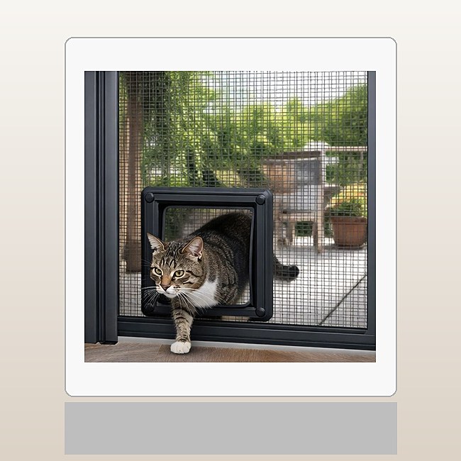 5 Critical Mistakes When Choosing a Fly Screen