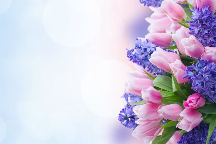 The Finest Flower Varieties Here!