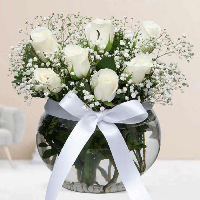 Fanusta Bembeyaz Taze Roses
