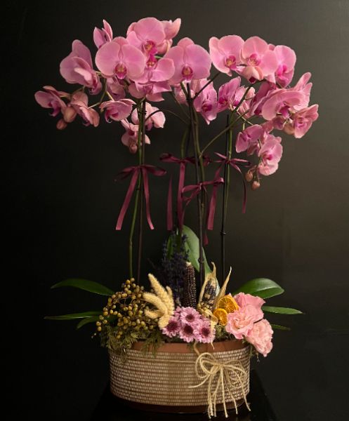 4-Stem Purple Orchid