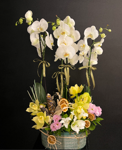 4-Stem White Orchid