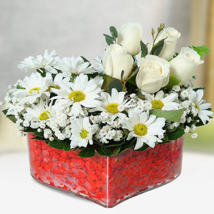 Daisy and White Rose Heart
